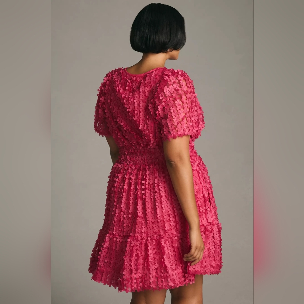 anthroplogie | The Somerset Mini Dress: Floral Appliqué Edition - Picture 3 of 10